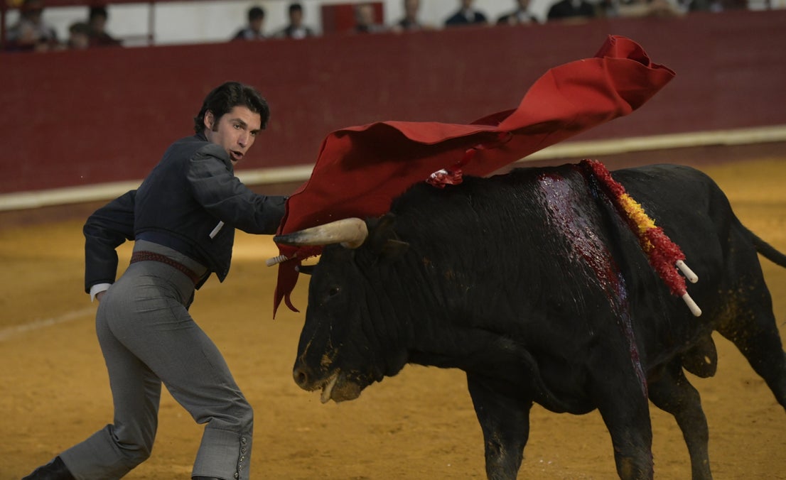 Fotos: La corrida de toros de Arroyo, en imágenes