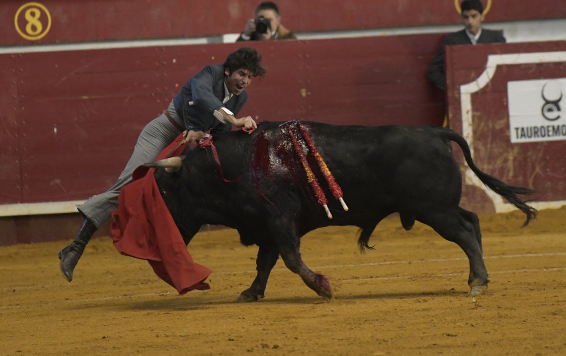 Fotos: La corrida de toros de Arroyo, en imágenes