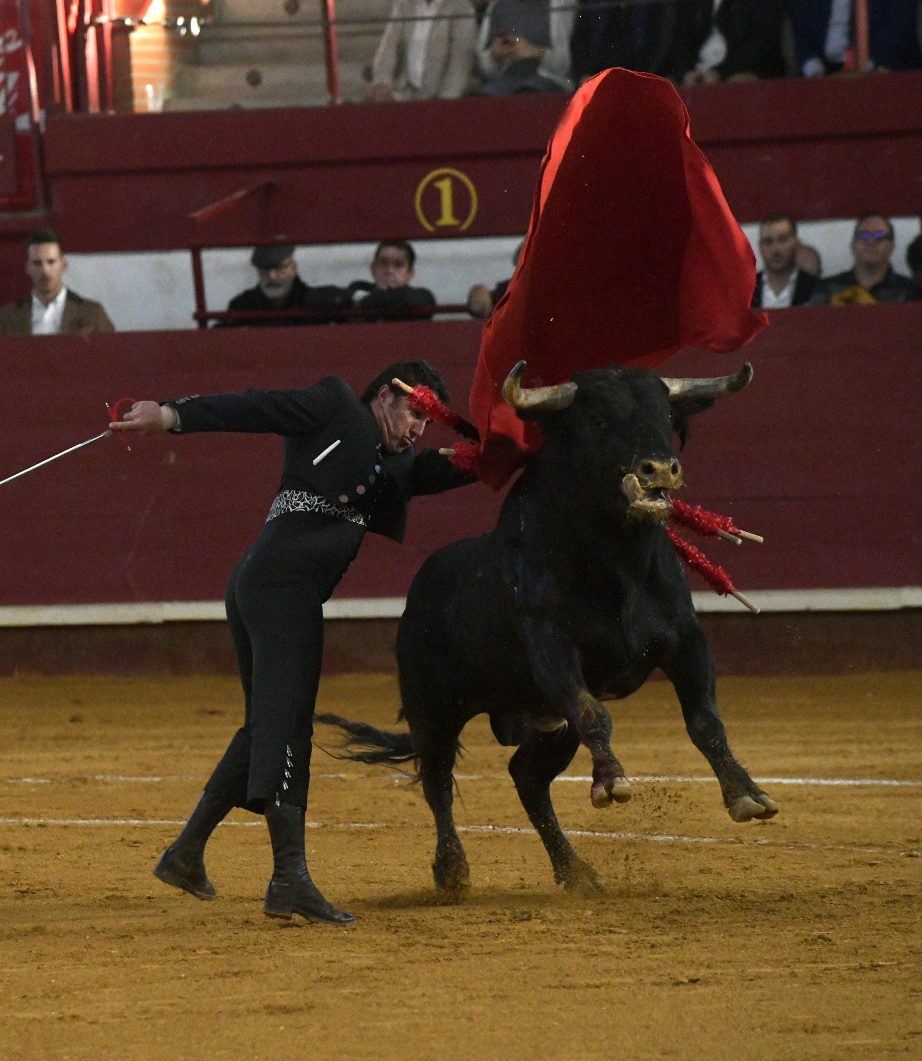 Fotos: La corrida de toros de Arroyo, en imágenes