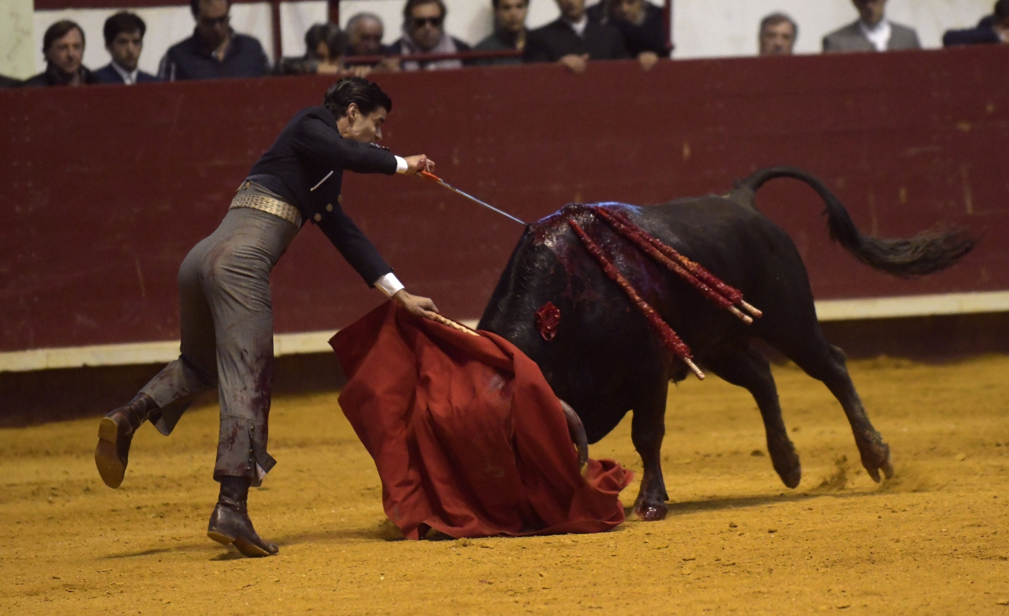 Fotos: La corrida de toros de Arroyo, en imágenes