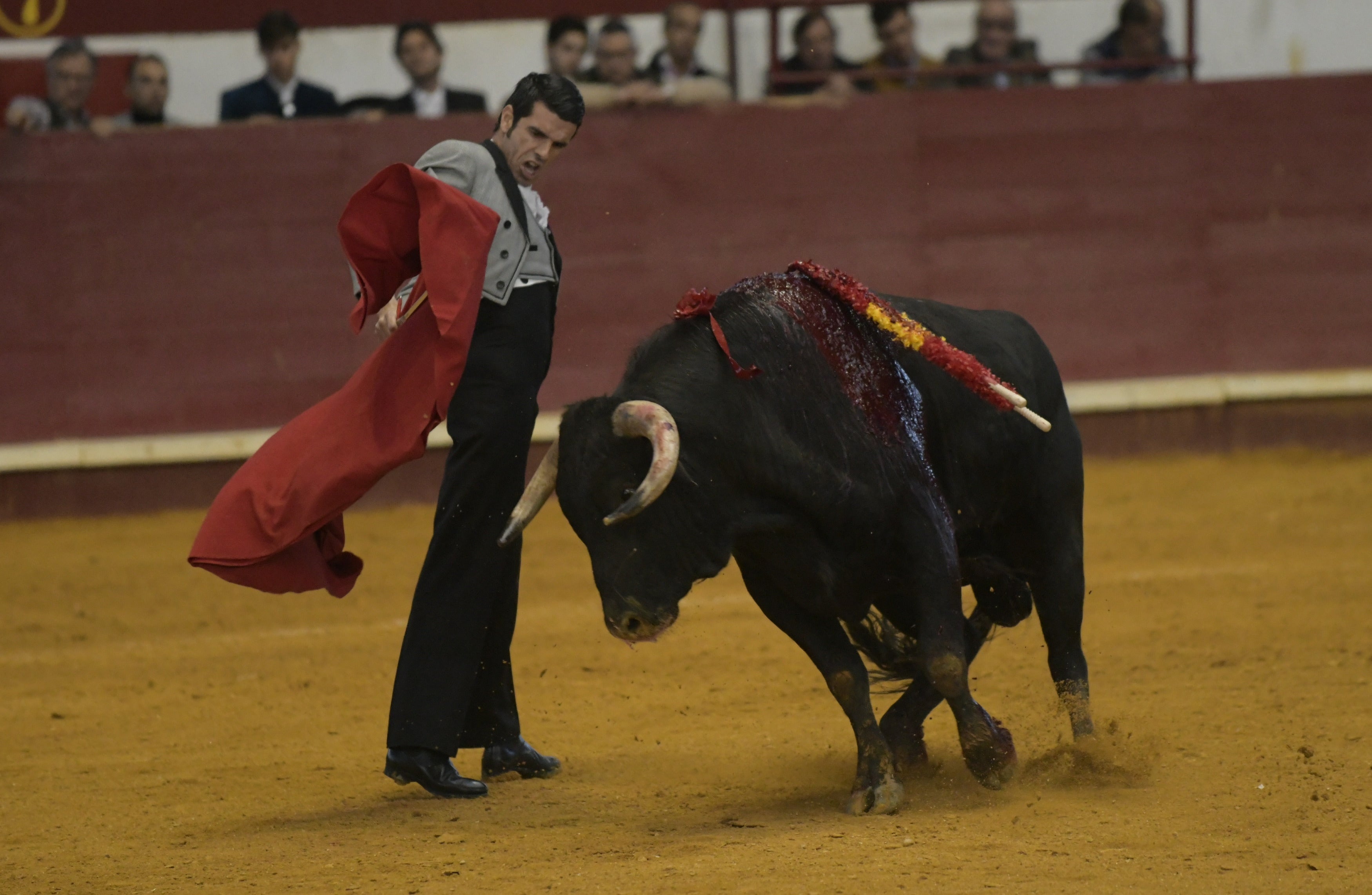 Fotos: La corrida de toros de Arroyo, en imágenes