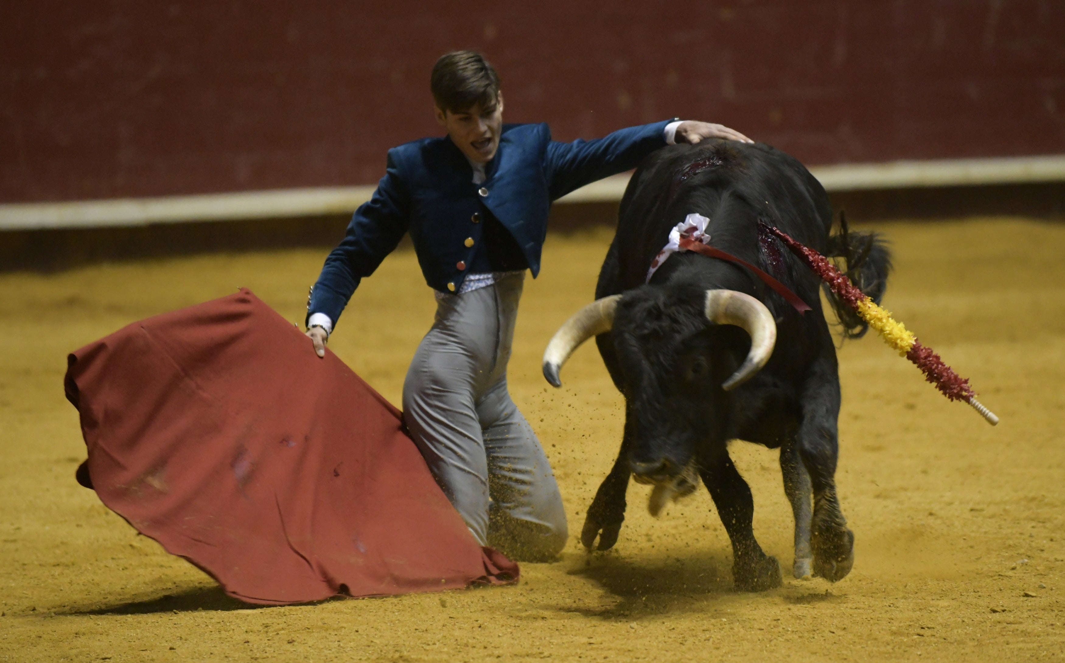 Fotos: La corrida de toros de Arroyo, en imágenes