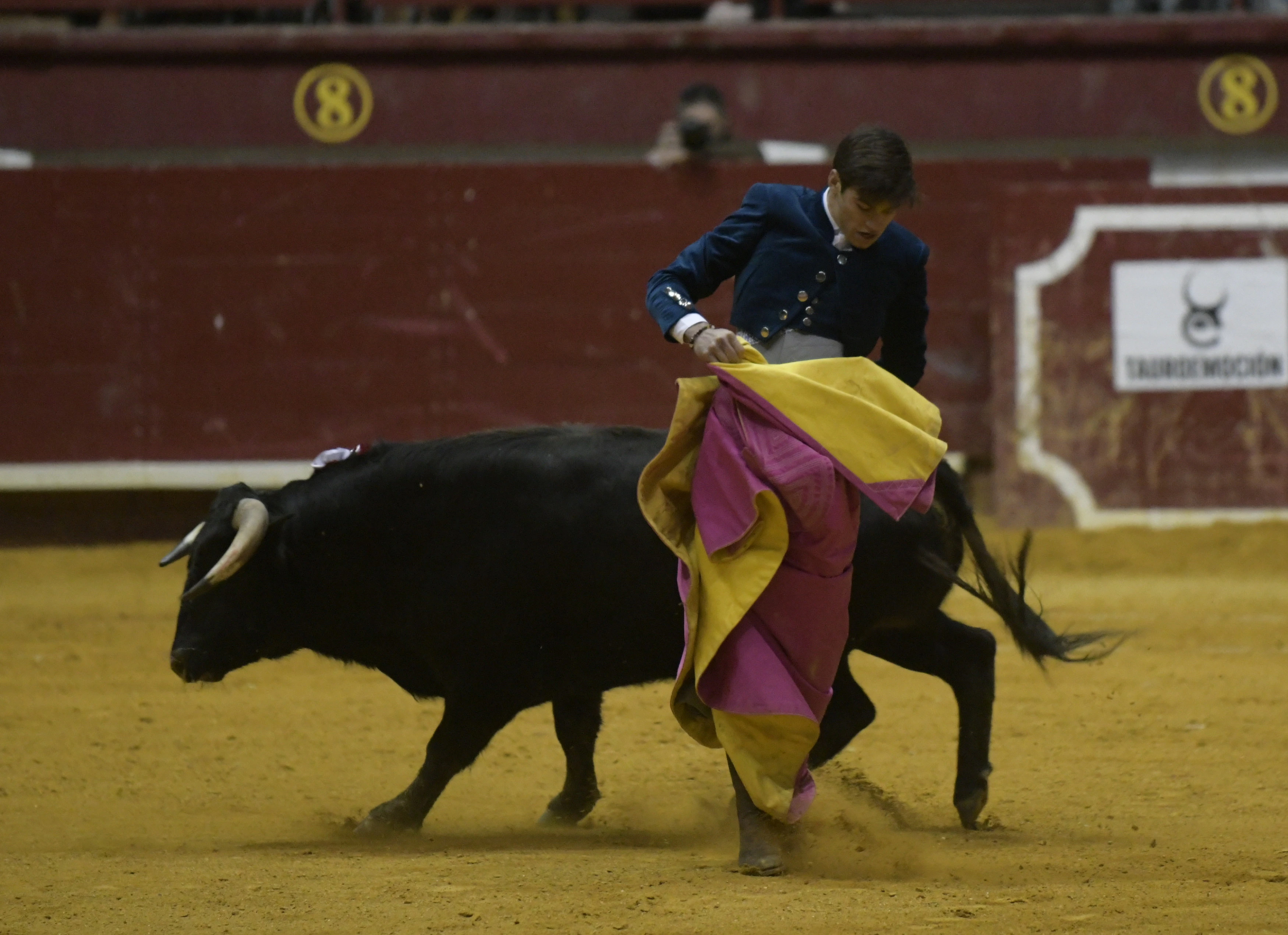 Fotos: La corrida de toros de Arroyo, en imágenes