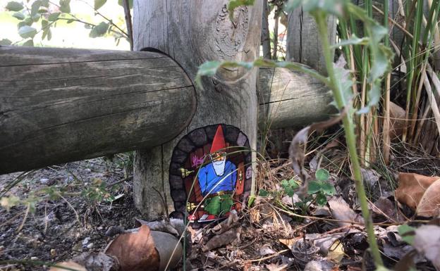 Cualquier lugar es ideal para que aprezca un gnomo de Arroyo. 