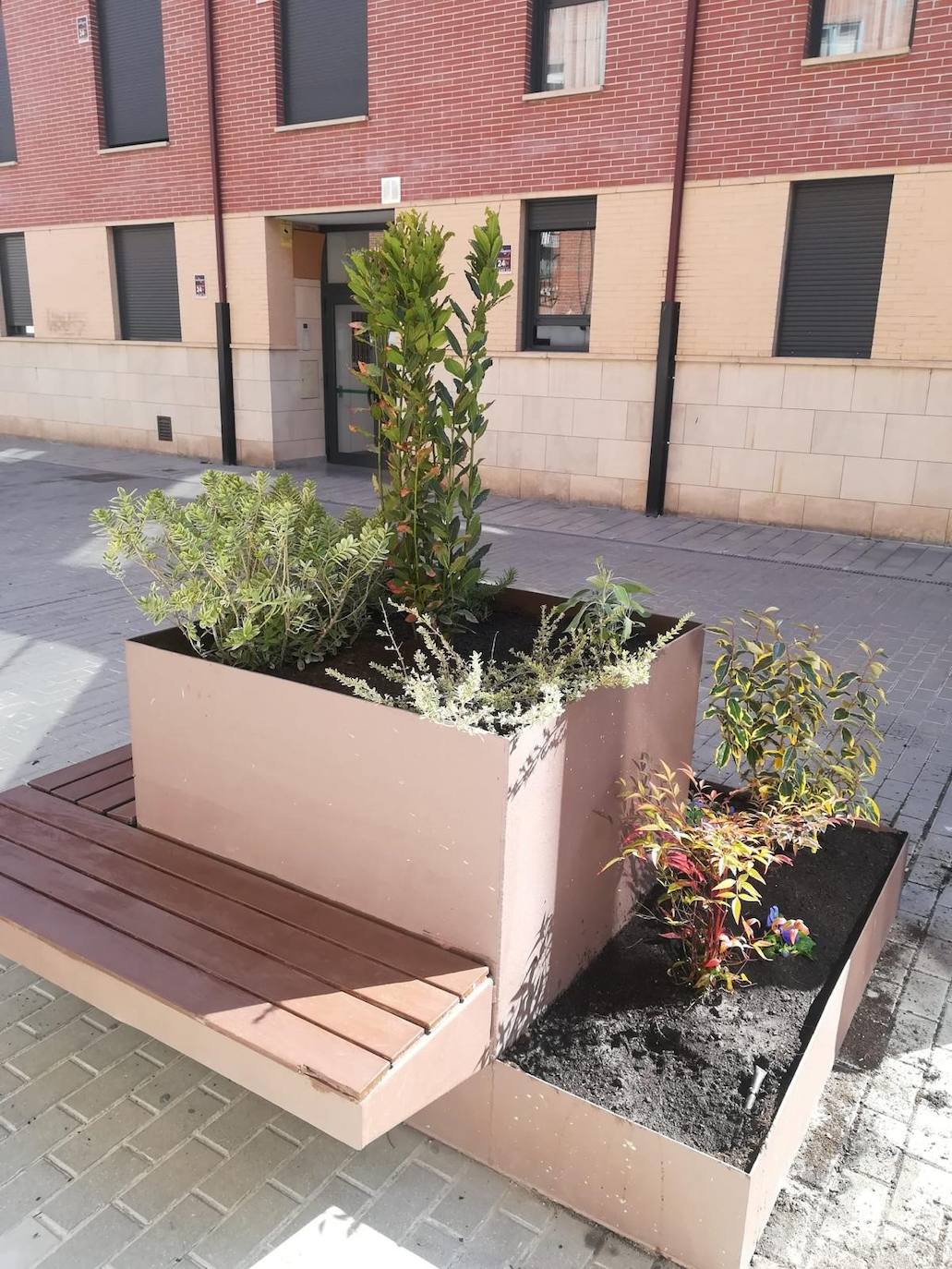 Los vecinos de este barrio de Arroyo cuentan con nuevas jardineras decorativas con bancos para el descanso a la siombra. 