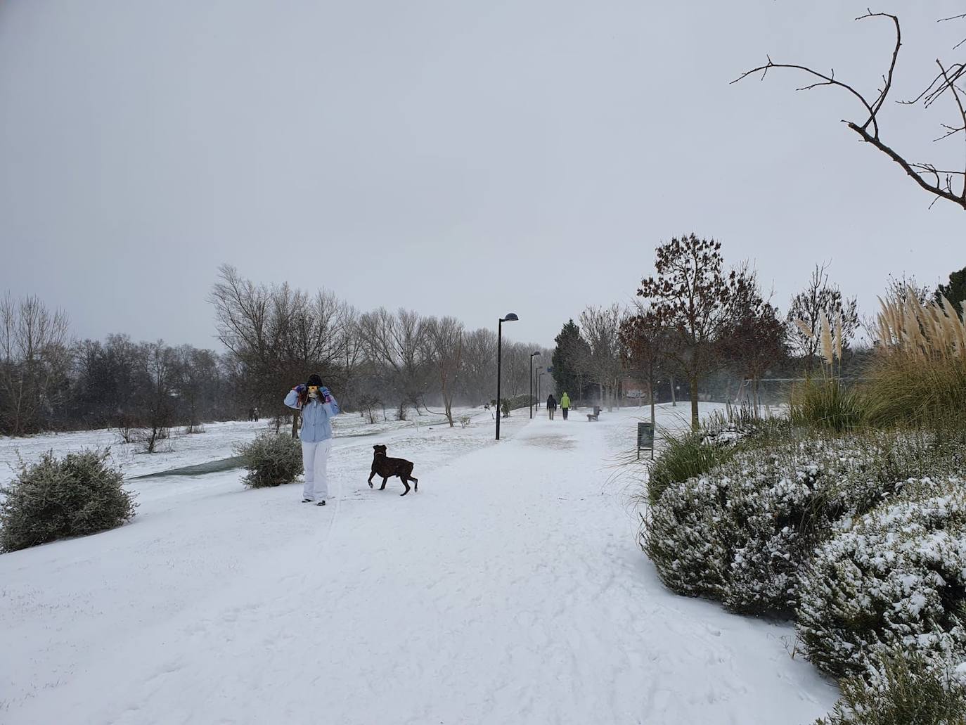 Aspecto que presentaba la plaza España de La Flecha, en Arroyo de la Encomienda,a primera hora de la mañana. 