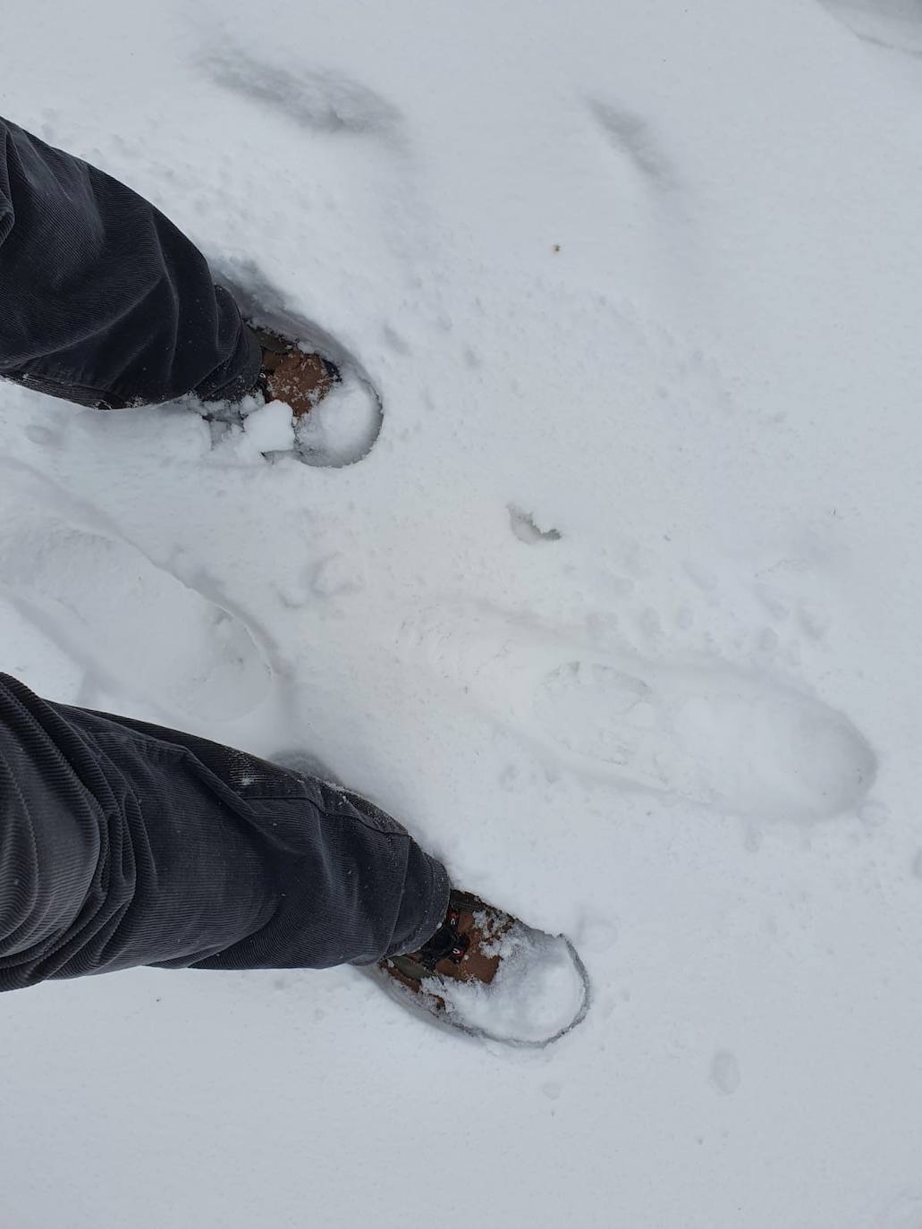 Aspecto que presentaba la plaza España de La Flecha, en Arroyo de la Encomienda,a primera hora de la mañana. 