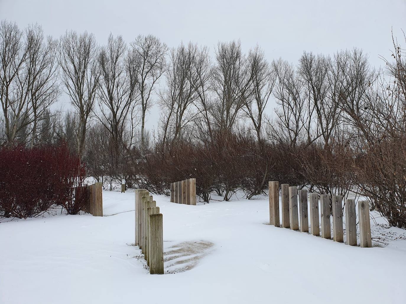 Aspecto que presentaba la plaza España de La Flecha, en Arroyo de la Encomienda,a primera hora de la mañana. 