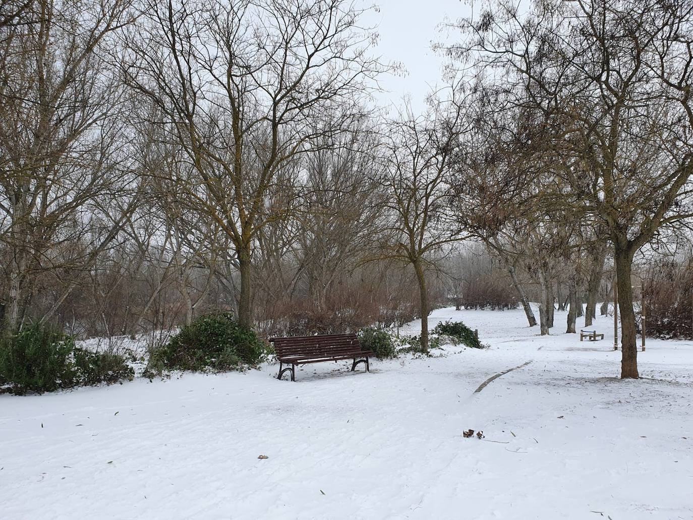Aspecto que presentaba la plaza España de La Flecha, en Arroyo de la Encomienda,a primera hora de la mañana. 