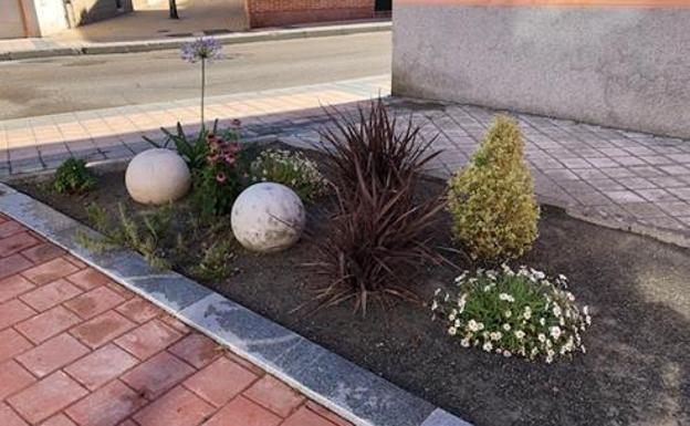 Destacan la estética, las nuevas especies y el gusto ornamental. 