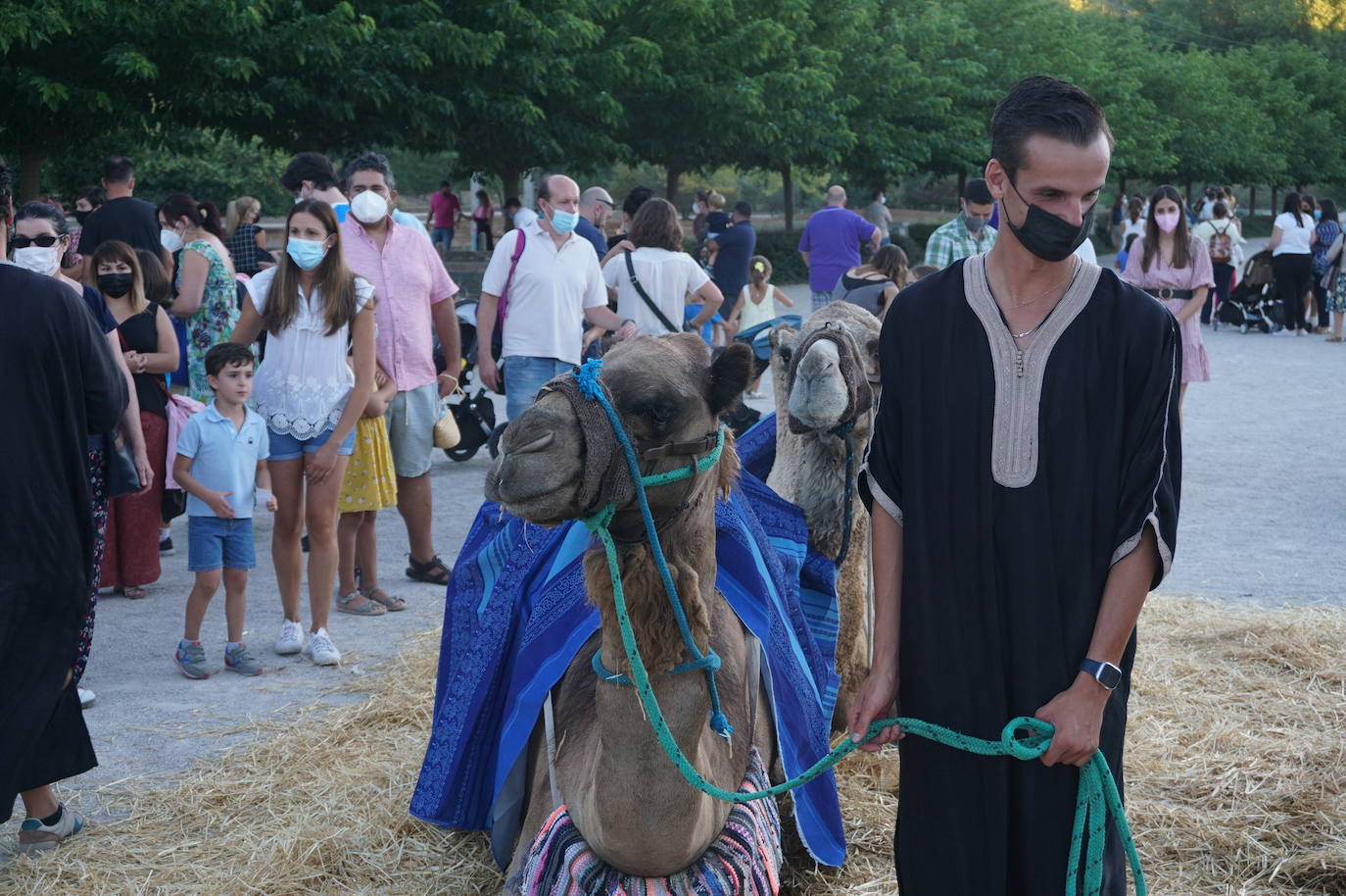Mercado Medieval de Arroyo de la Encomienda. 
