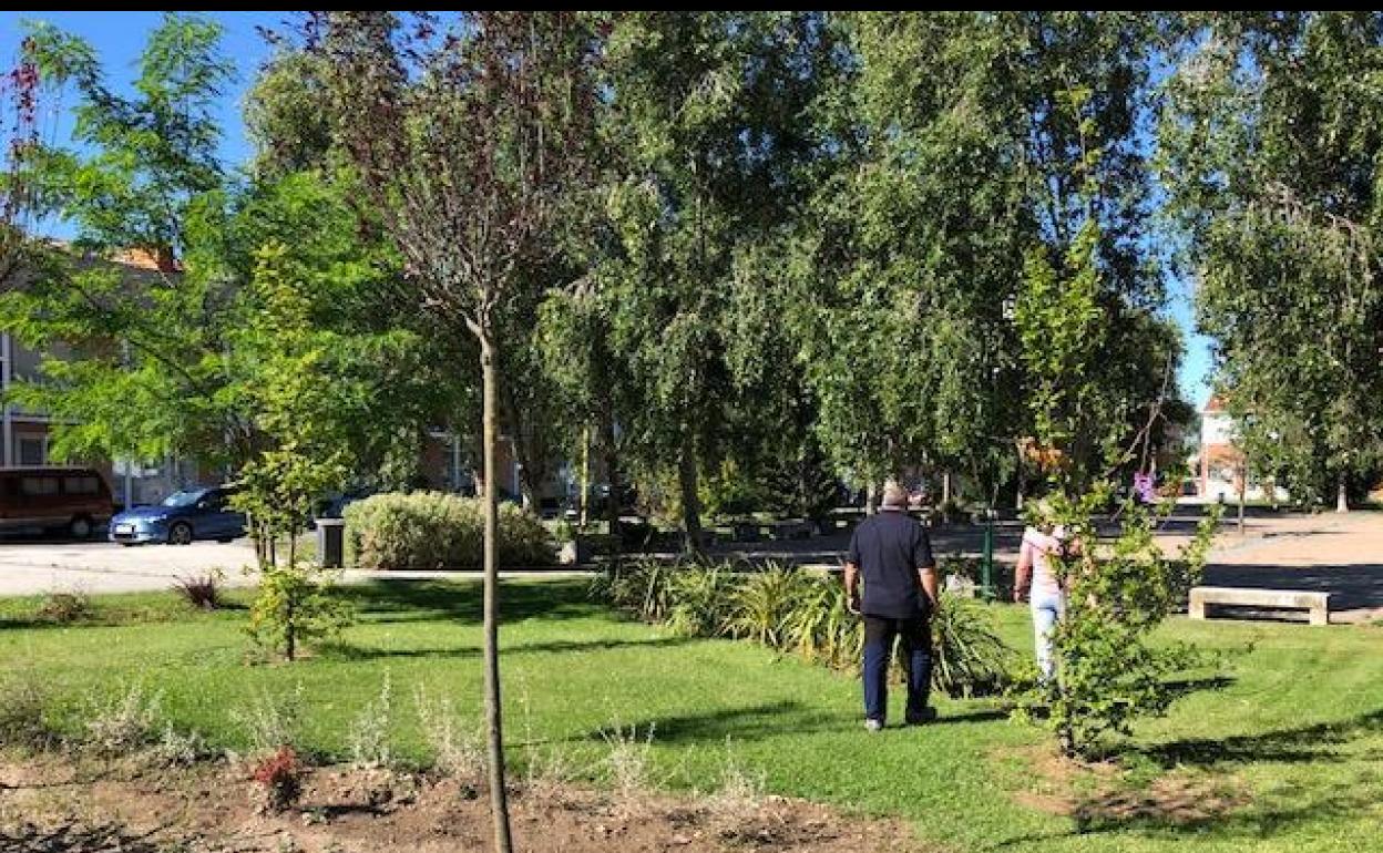 Zona boscosa y ajardinada de Arroyo. 