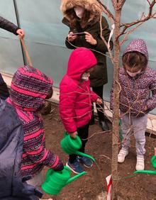 Imagen secundaria 2 - Diferentes momentos de la plantación en el Colegio Elvira Lindo 