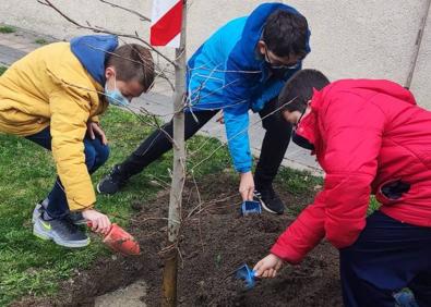 Imagen secundaria 1 - Los alumnos plantando las diferentes especies de árboles