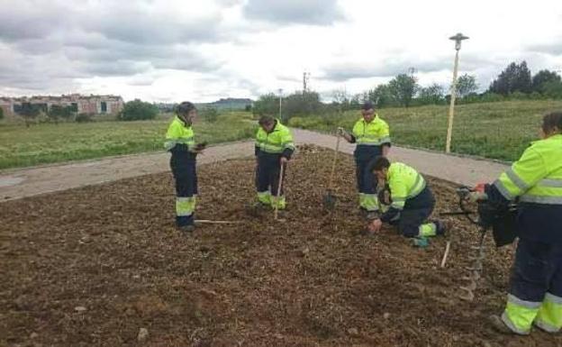 Alumnos participantes en el programa de formación y trabajo 