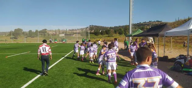 Partidos celebrados en los Nuevos Campos de Rugby y en Campos de La Vega 
