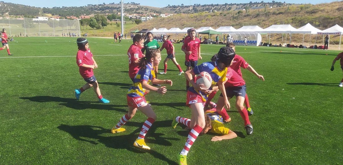 Partidos celebrados en los Nuevos Campos de Rugby y en Campos de La Vega 