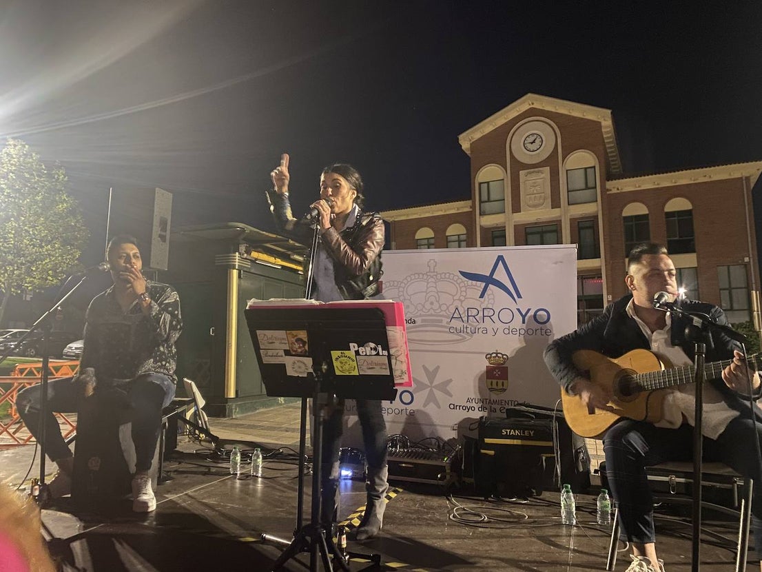 Fotos: Día de las Peñas en Arroyo
