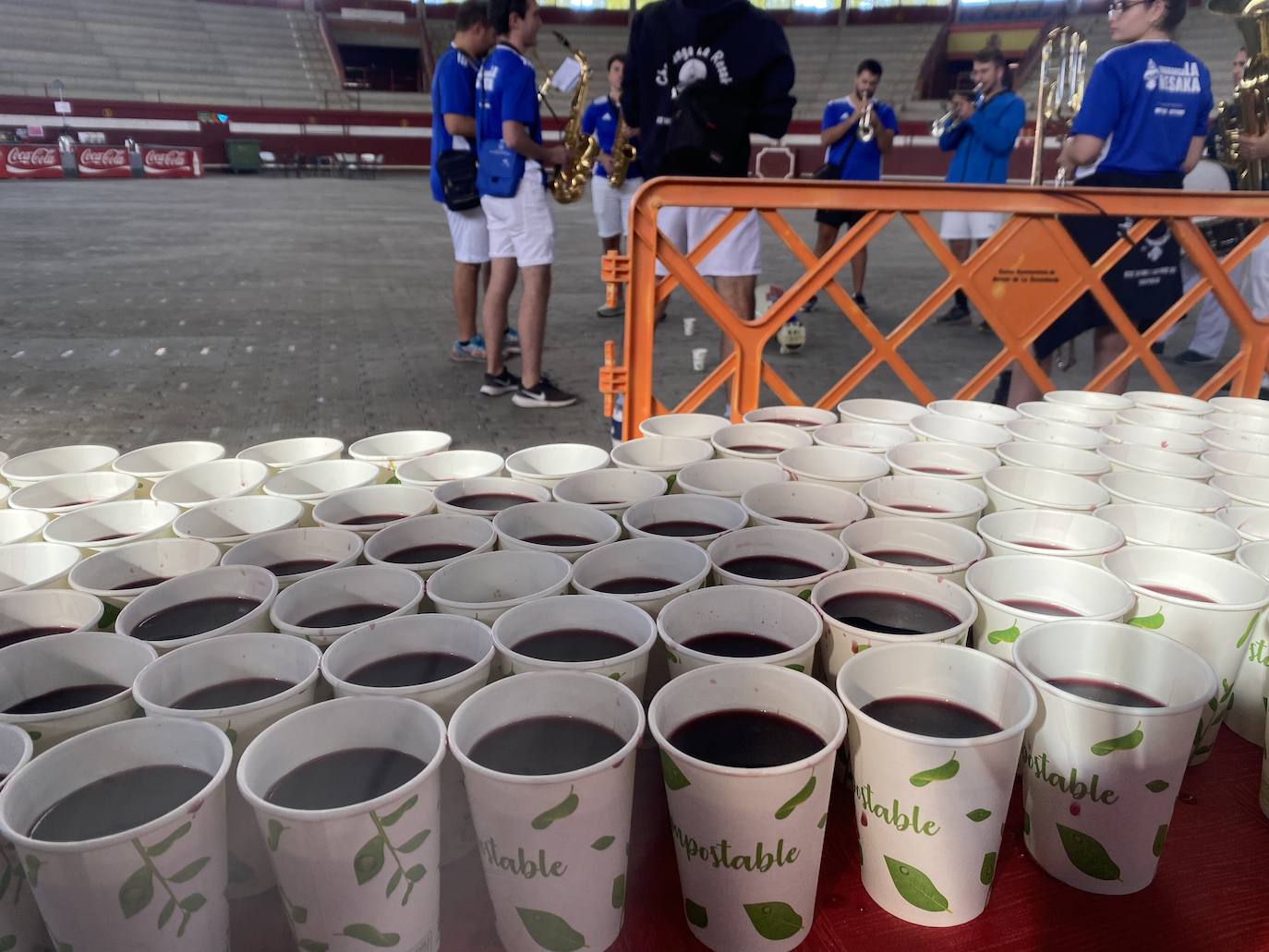 Fotos: Día de las Peñas en Arroyo