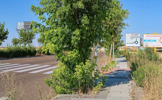 Avenida Miguel Delibes 