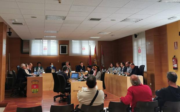 Público asistente al pleno celebrado este miércoles 