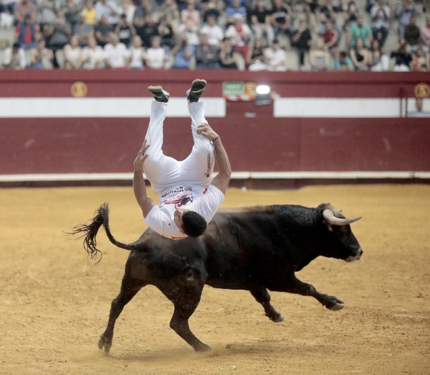 Los mejores cortadores, quebradores y saltadores se citan en Arroyo