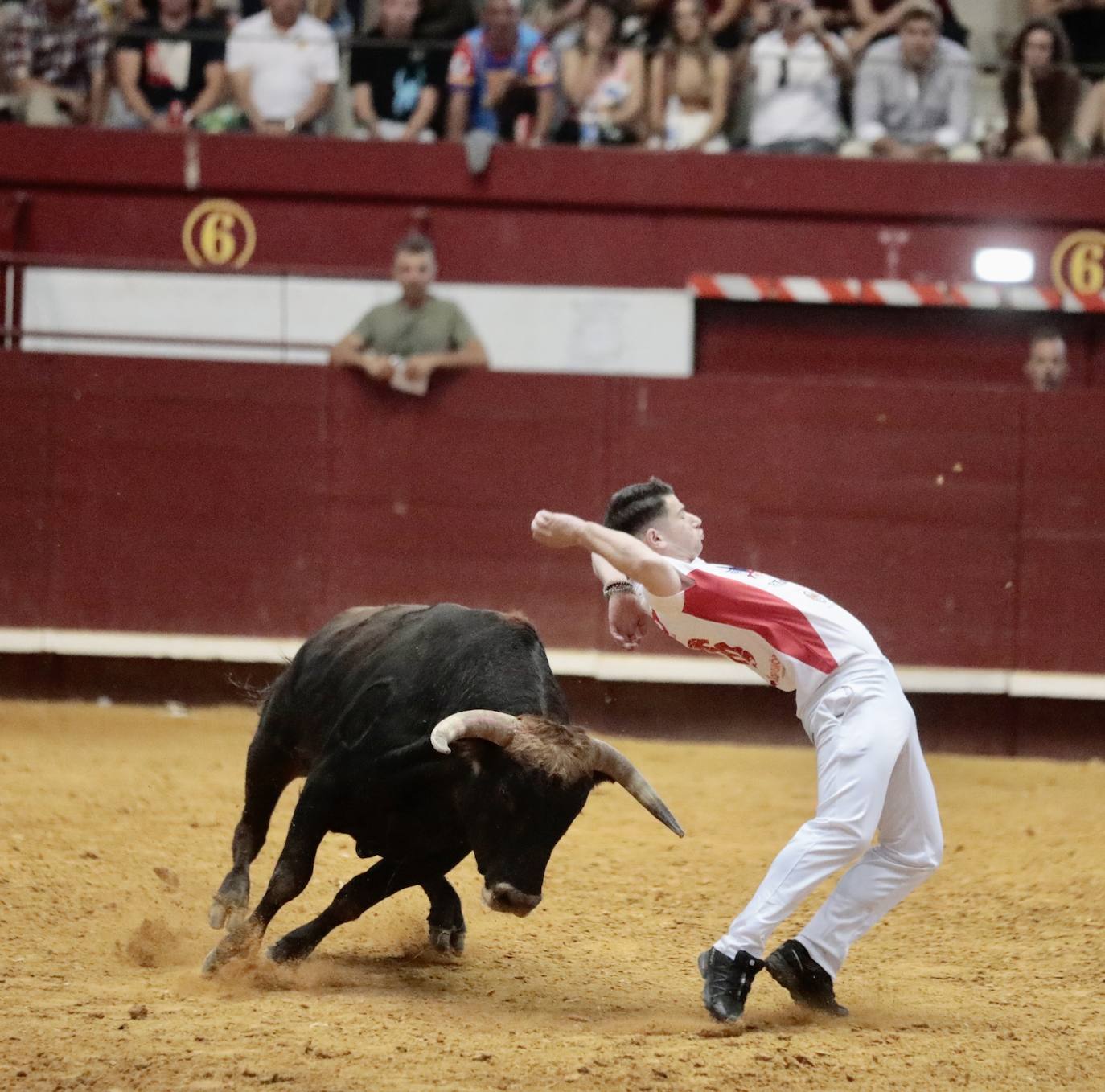 Los mejores cortadores, quebradores y saltadores se citan en Arroyo