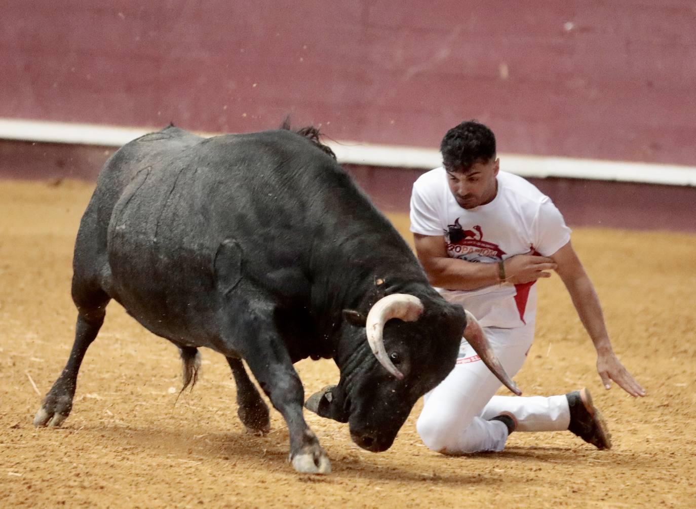Los mejores cortadores, quebradores y saltadores se citan en Arroyo
