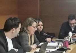 María Ángeles Retamero, concejal de Hacienda de Arroyo, presenta el proyecto de presupuesto