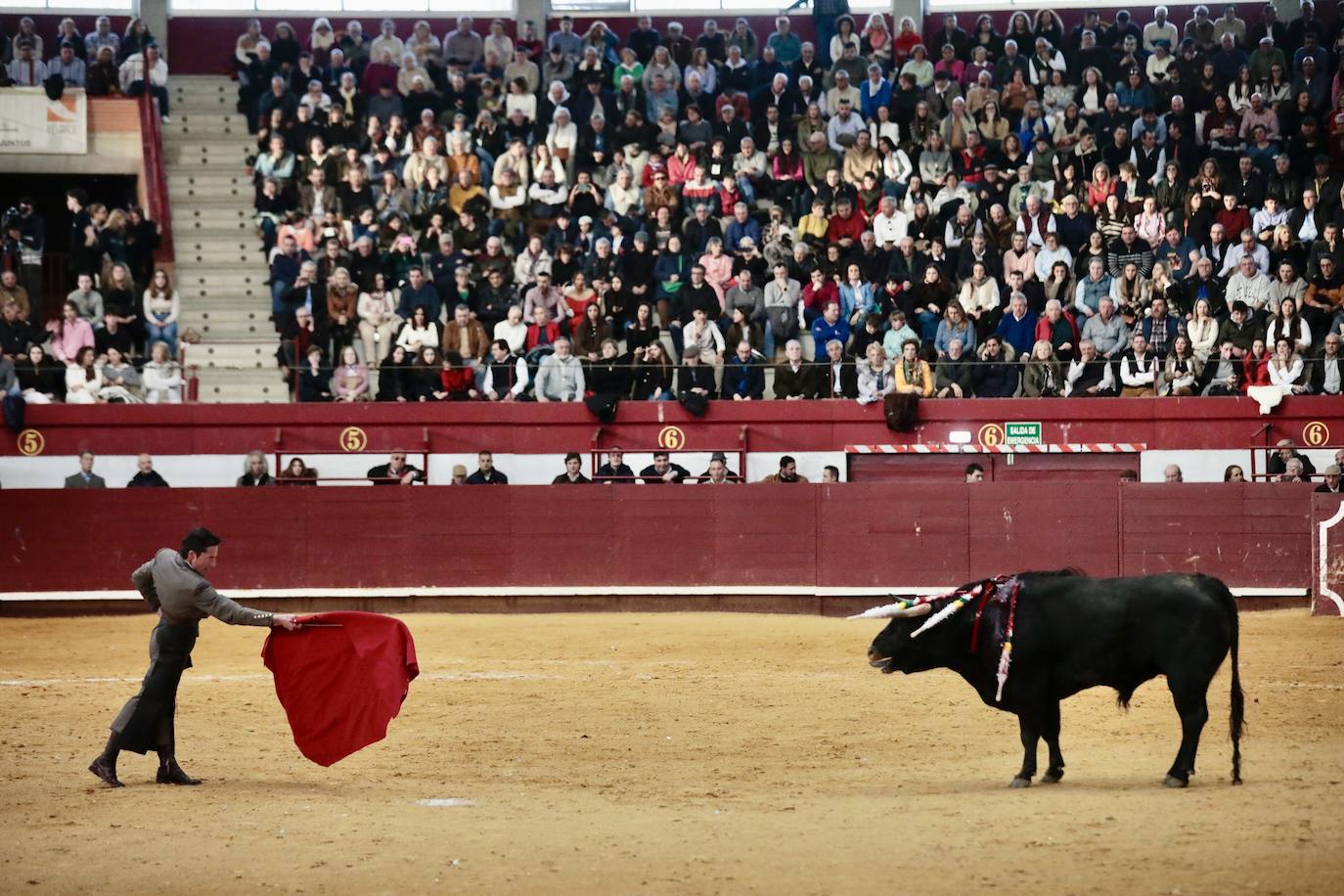 Festival taurino y solidario en La Flecha