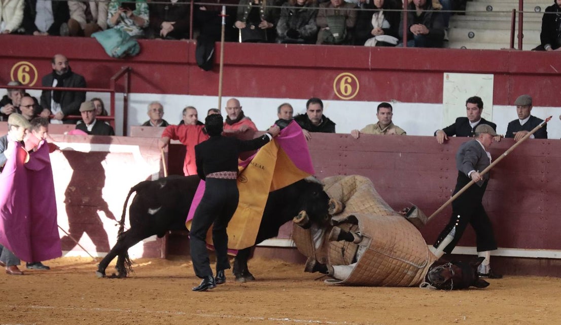 Festival taurino y solidario en La Flecha
