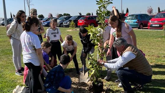Los escolares arroyanos plantan 55 árboles