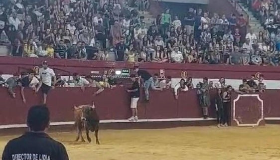 Entretenido encierro en el sábado de fiestas de Arroyo