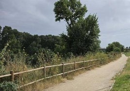 Ribera del Pisuerga en Arroyo