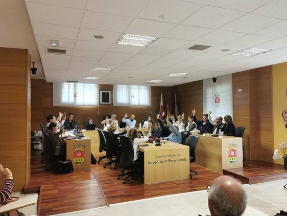 El pleno arroyano reclama al Gobierno que erradique las okupaciones