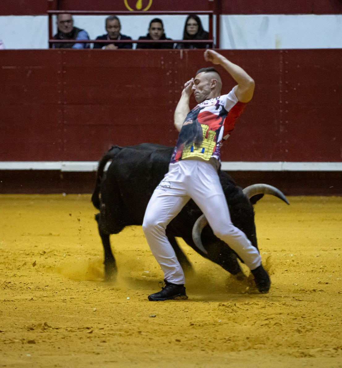 Emocionante campeonato de cortes de Castilla y León