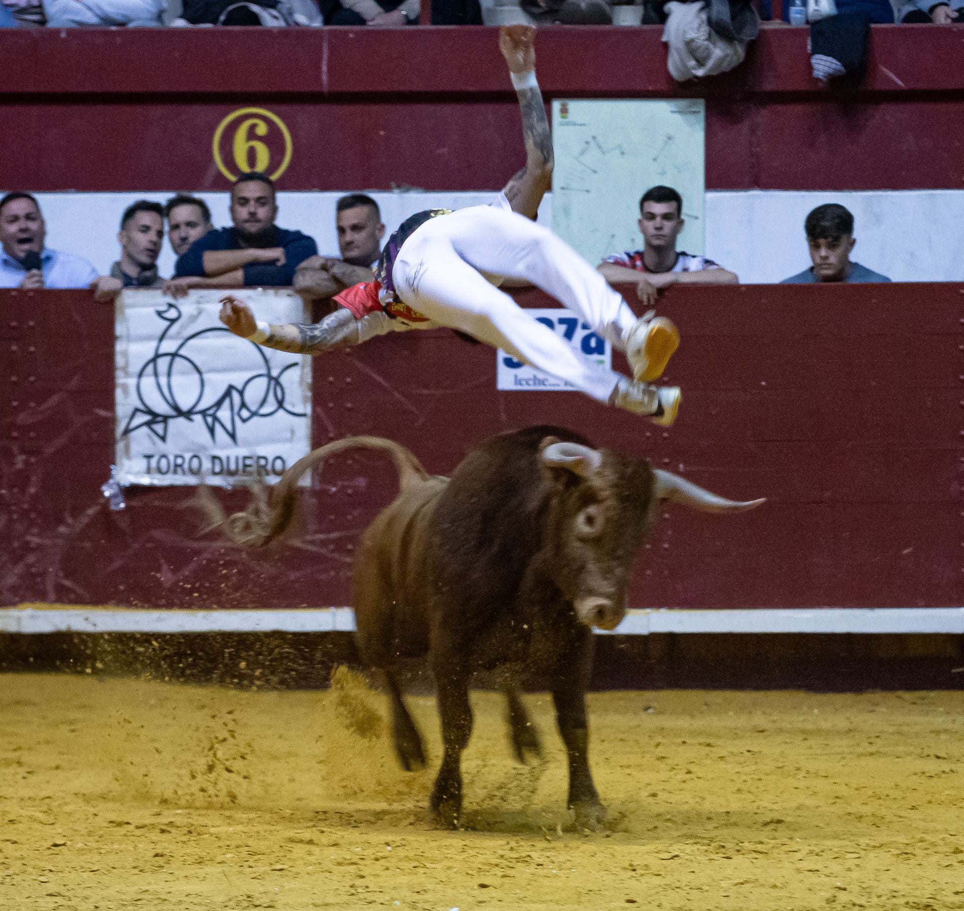 Emocionante campeonato de cortes de Castilla y León