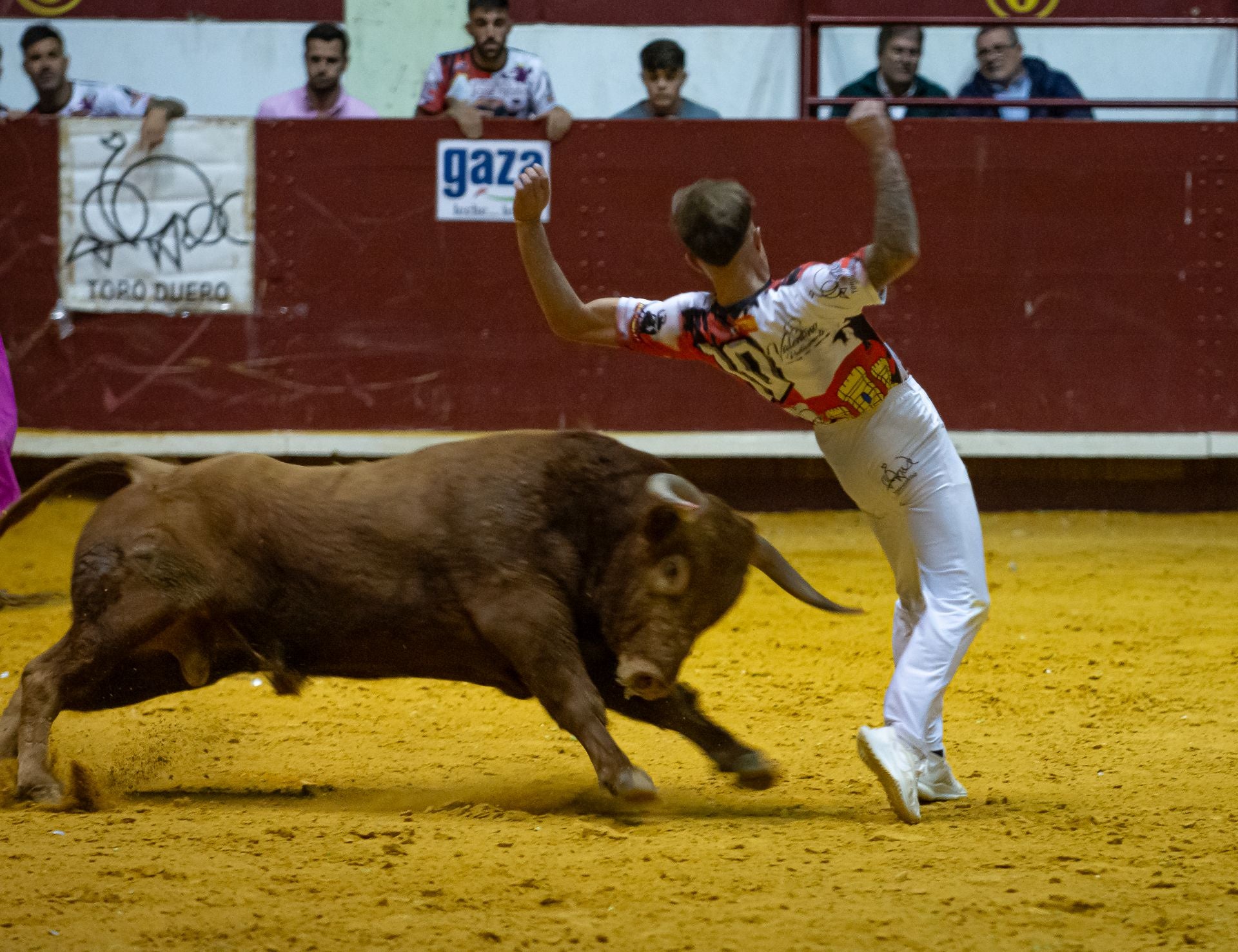 Emocionante campeonato de cortes de Castilla y León