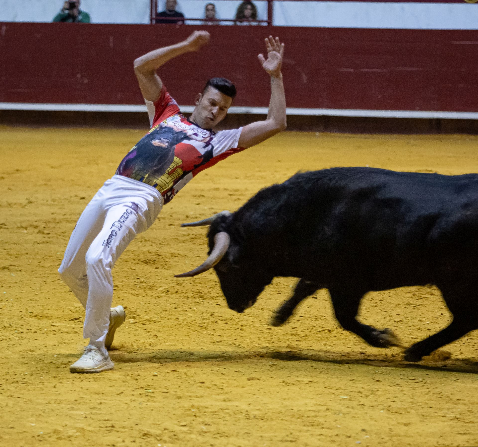 Emocionante campeonato de cortes de Castilla y León