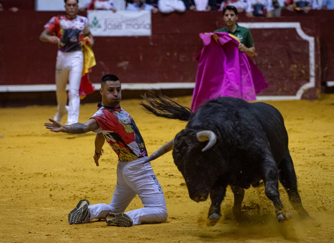 Emocionante campeonato de cortes de Castilla y León