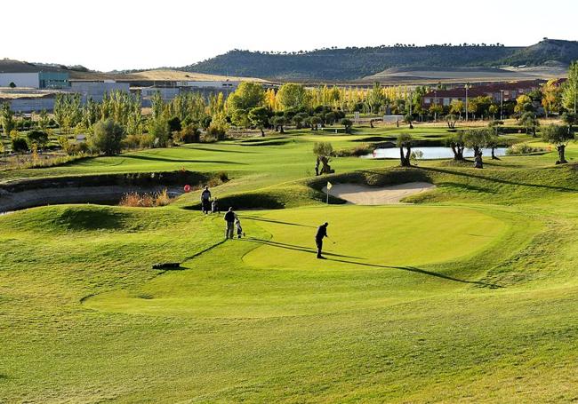 Campos del Club de Golf Sotoverde