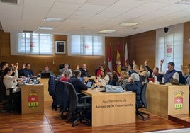 Los concejales de Arroyo de la Encomienda durante la votación de una de las mociones