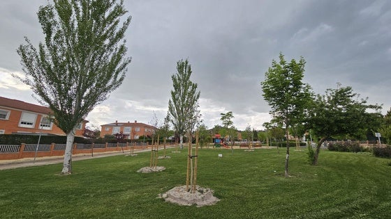 Más de mil nuevos árboles en las calles y parques de Arroyo