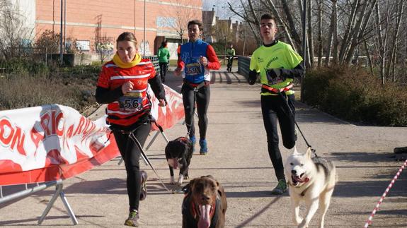 Canicross en Arroyo de la Encomienda