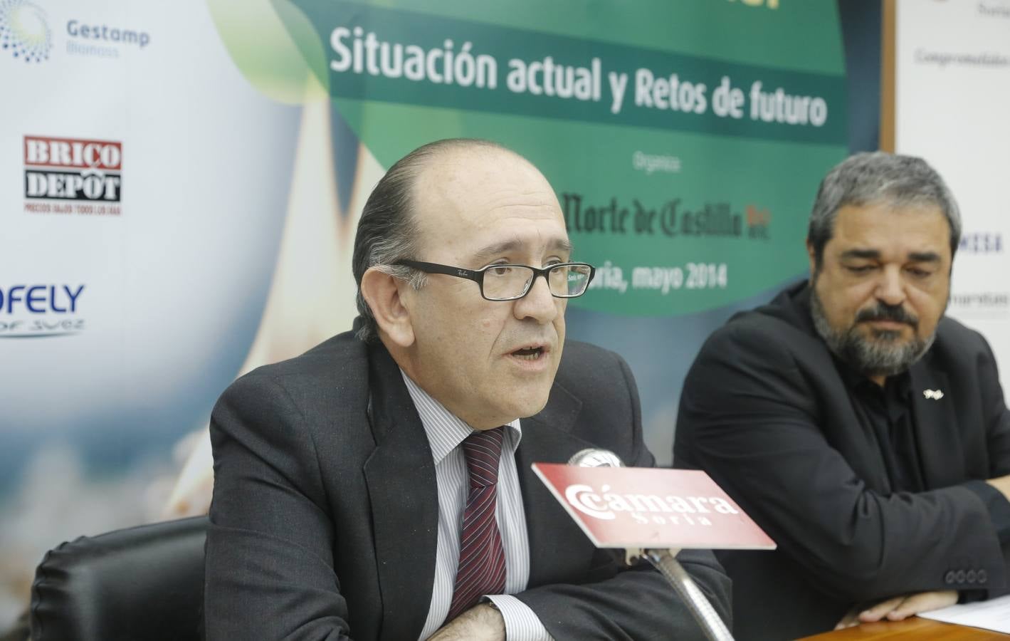 Jornada sobre la situación y retos de la biomasa, en Soria