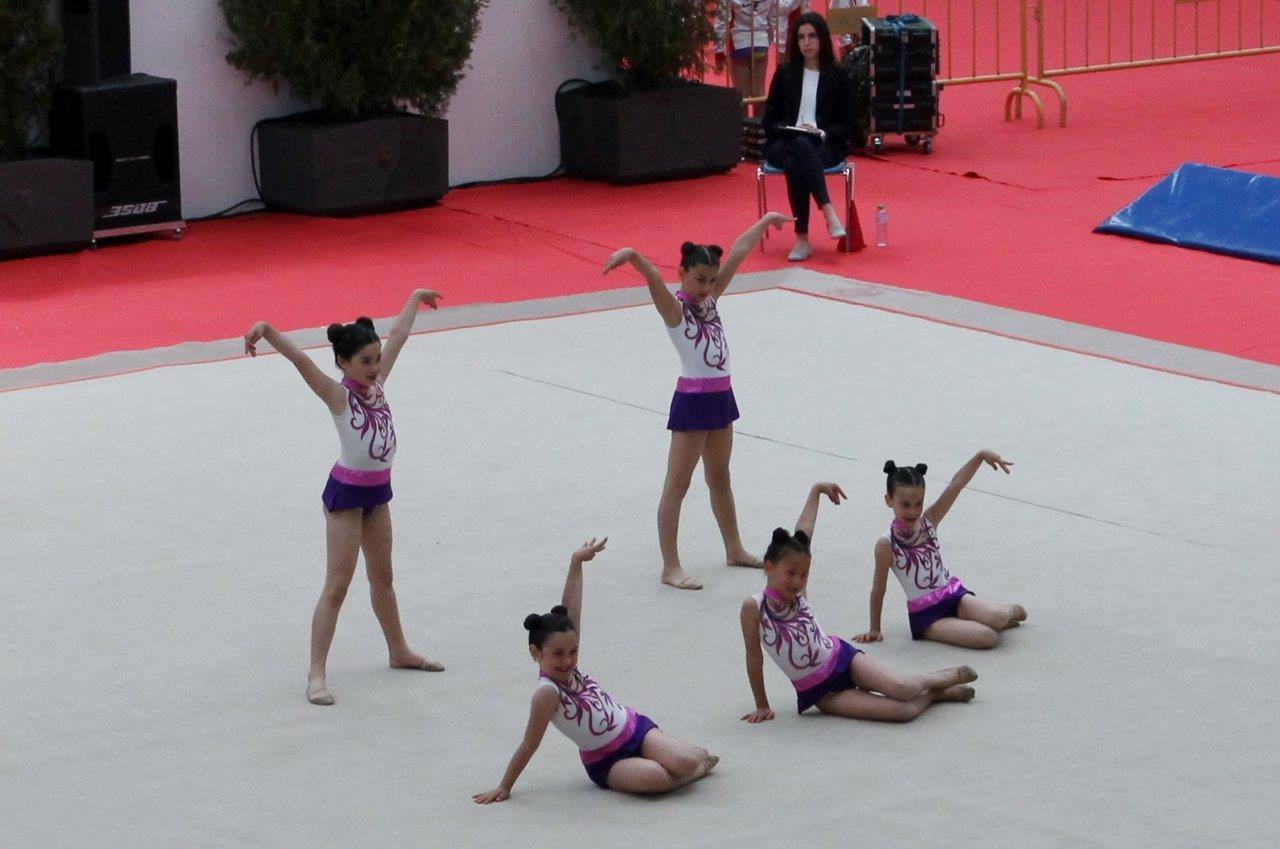 Campeonato Escolar de Gimnasia Rítmica de Castilla y León 2014 celebrado en Íscar (1/3)