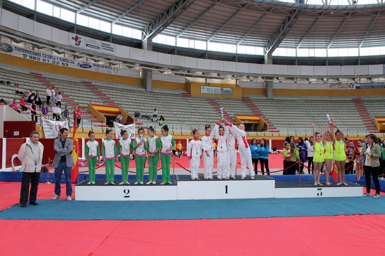 Campeonato Escolar de Gimnasia Rítmica de Castilla y León 2014 celebrado en Íscar (1/3)