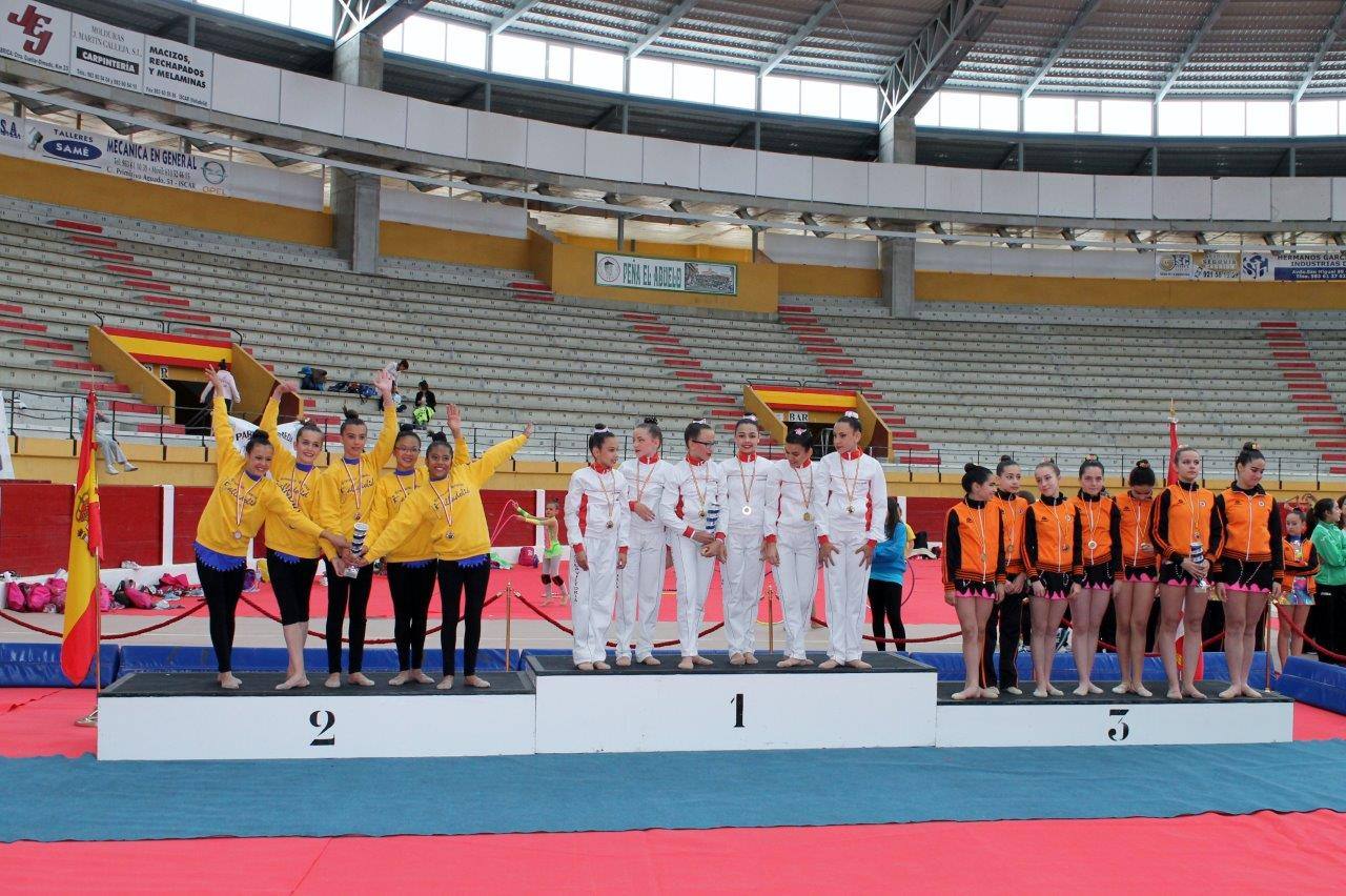 Campeonato Escolar de Gimnasia Rítmica de Castilla y León 2014 celebrado en Íscar (1/3)