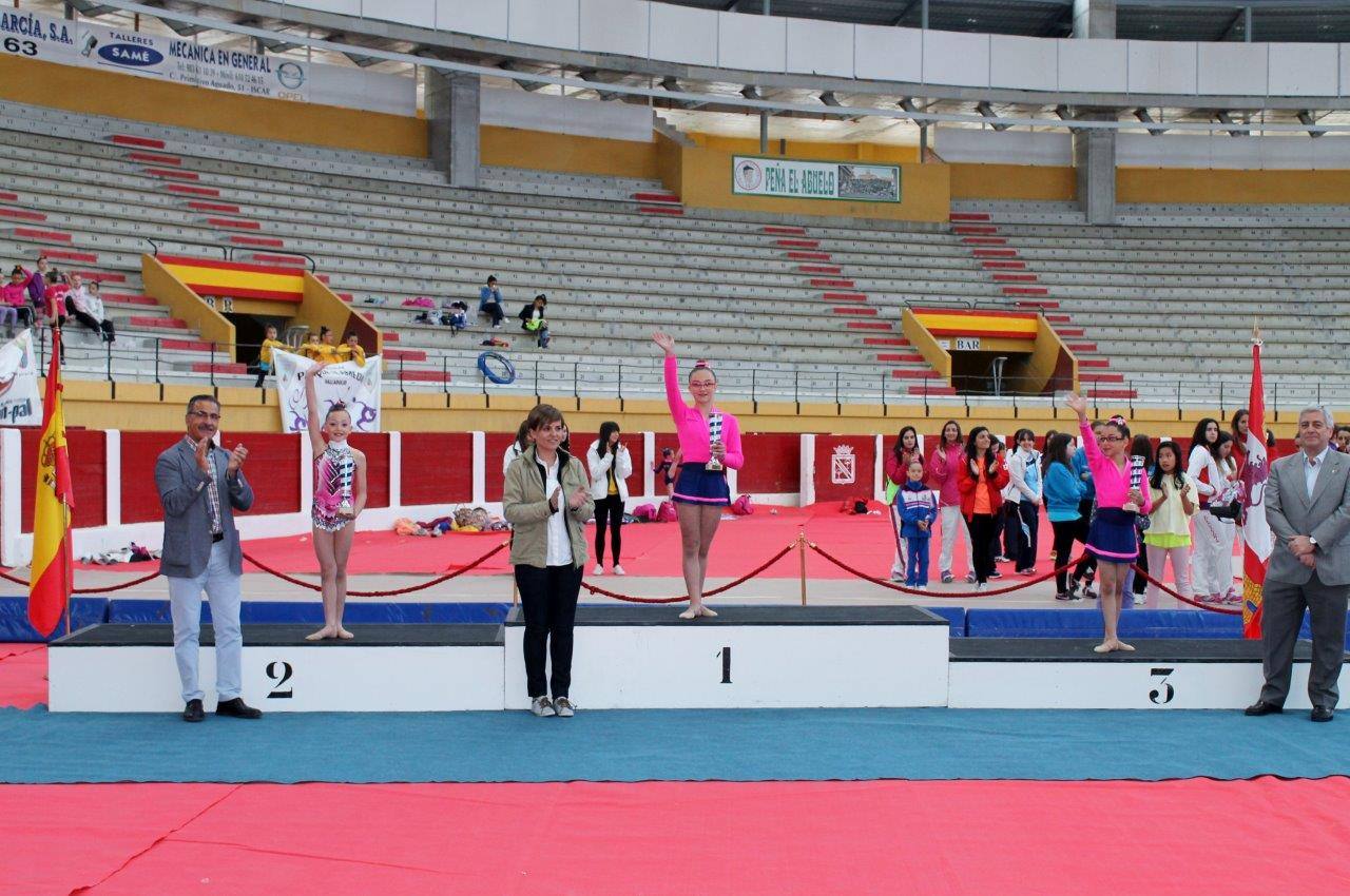 Campeonato Escolar de Gimnasia Rítmica de Castilla y León 2014 celebrado en Íscar (1/3)