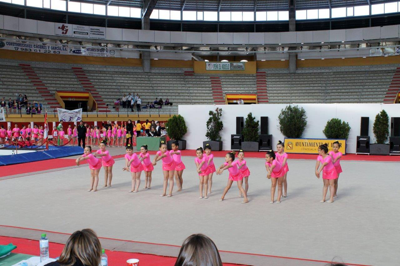 Campeonato Escolar de Gimnasia Rítmica de Castilla y León 2014 celebrado en Íscar (2/3)